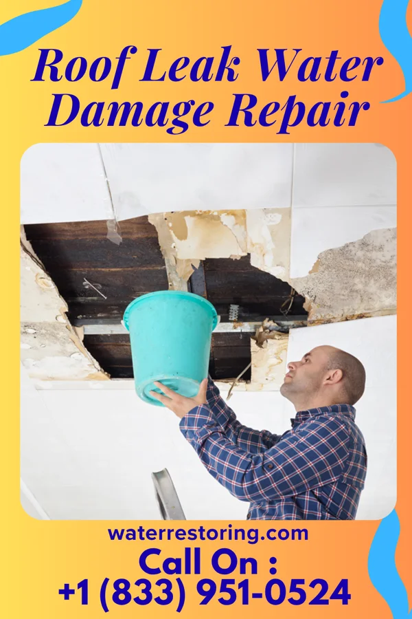 Roof Leak Water Damage Repair in Wawona, CA